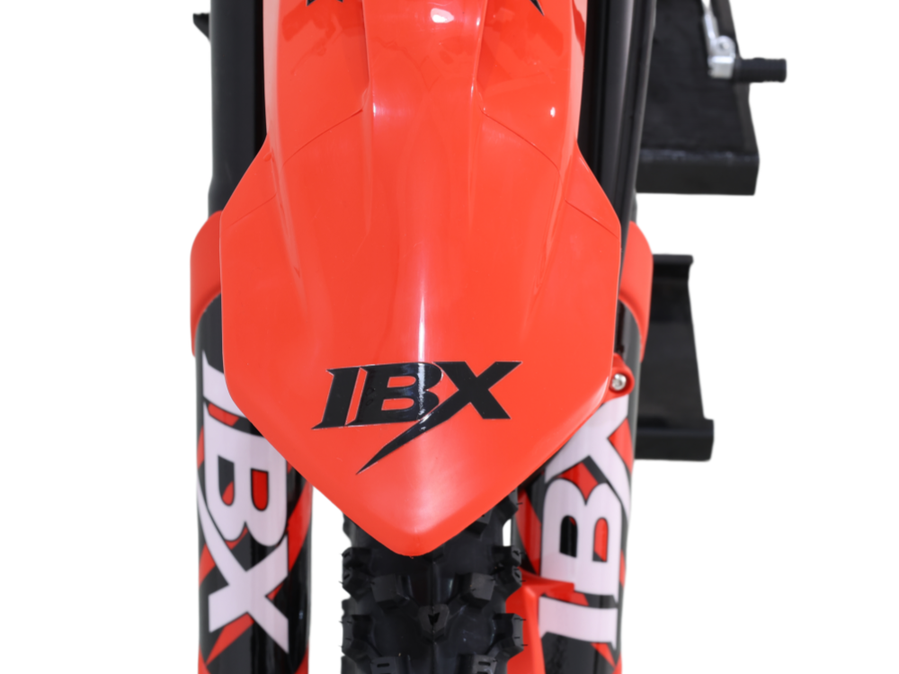 IceBear IBX AX140 140cc Pit Bike (PAD140-V2) - HN5A2957_副本