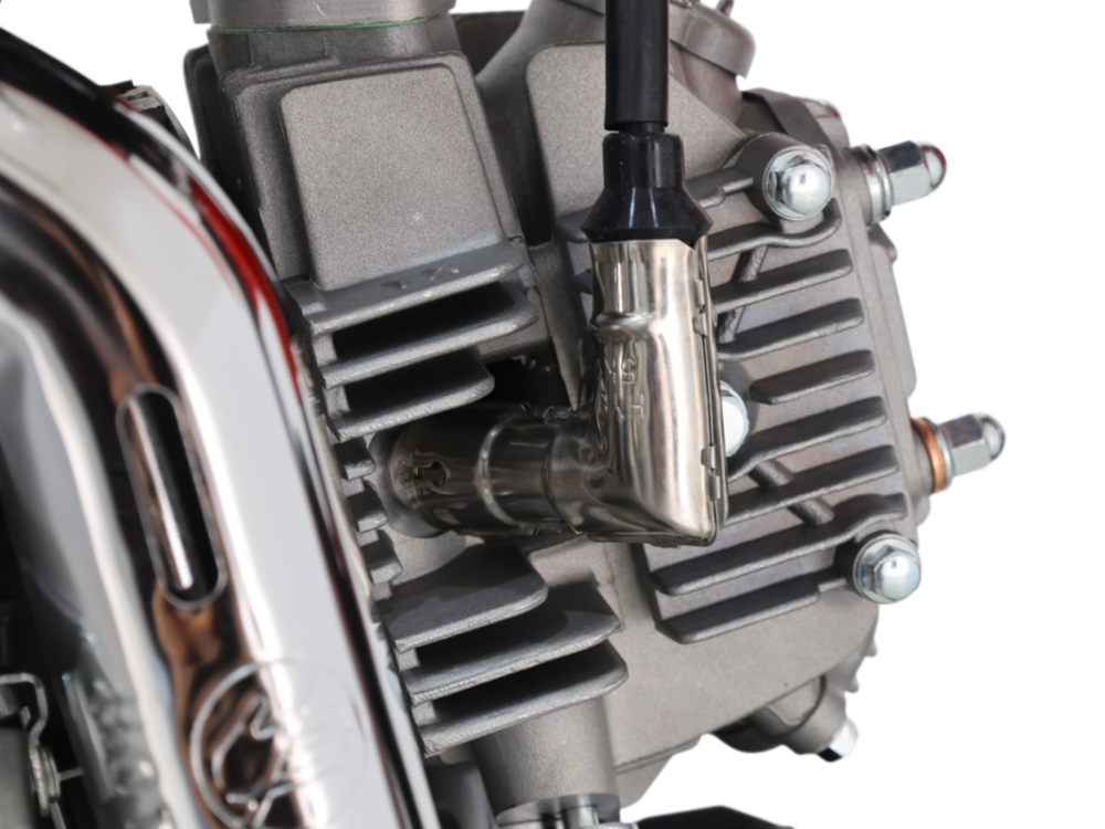 IceBear IBX AX125 125cc Pit Bike (PAD125-V2) - HN5A3011_副本