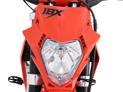 IceBear IBX AX125 125cc Pit Bike (PAD125-V2) - HN5A3000_副本