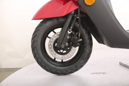 IceBear Cali 50cc Scooter (PMZ50-2) - 0E4B8799