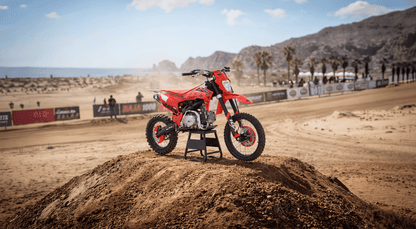 IceBear IBX AX125 125cc Pit Bike (PAD125-V2) - AX125 125cc Pit Bike (PAD125-V2)