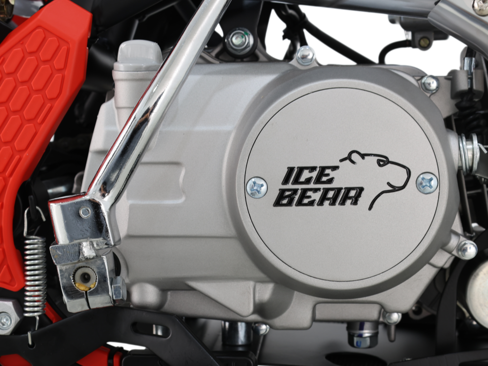 IceBear IBX AX125 125cc Pit Bike (PAD125-V2) - HN5A3009_副本