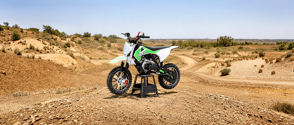 IceBear Pro Mini 50cc Pit Bike PAD50-3