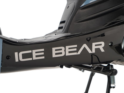 IceBear Hawkeye 150cc Scooter (PMZ150-3C) - DSC03156