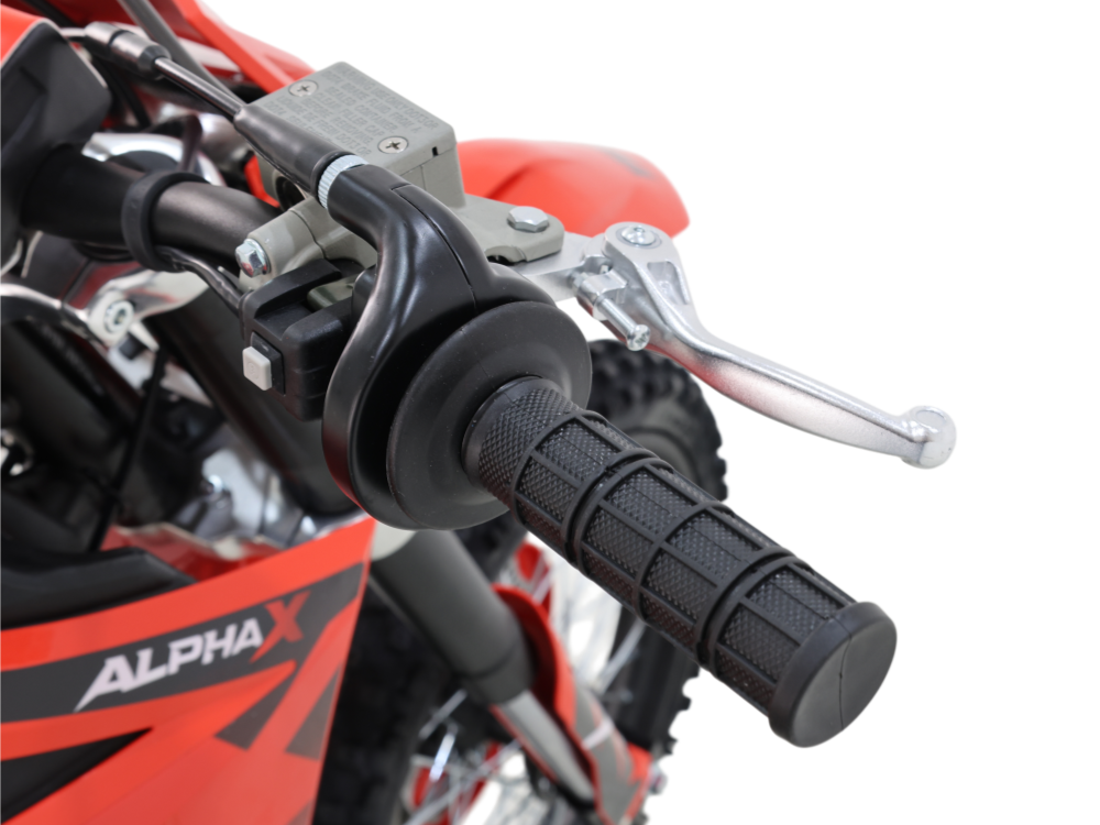 IceBear IBX AX125 125cc Pit Bike (PAD125-V2) - HN5A3003_副本