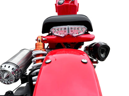 IceBear Maddog Gen V 150cc Scooter (PMZ150-22) - Rear view