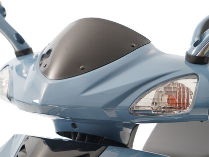 IceBear Hawkeye 150cc Scooter (PMZ150-3C) - DSC03150