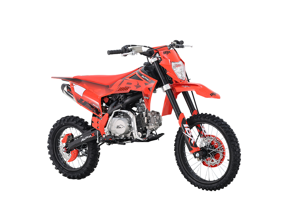 IceBear IBX AX125 125cc Pit Bike (PAD125-V2) - full bike on white background