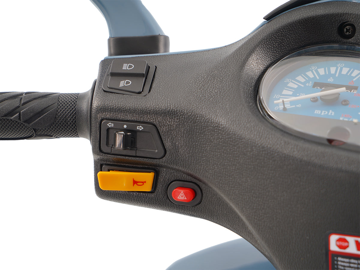 IceBear Hawkeye 150cc Scooter (PMZ150-3C) - DSC03160