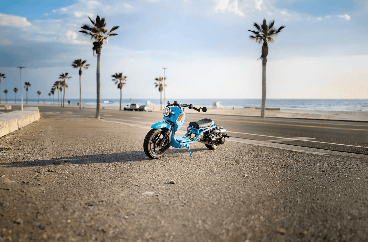 IceBear Maddog Gen V 150cc Scooter (PMZ150-22) - maddog-blue.png