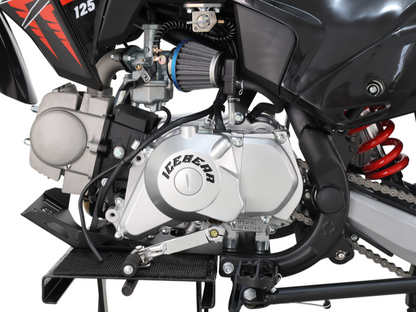 IceBear IBX Whip 125cc Pit Bike (PAD125-3) - Engine, transmission