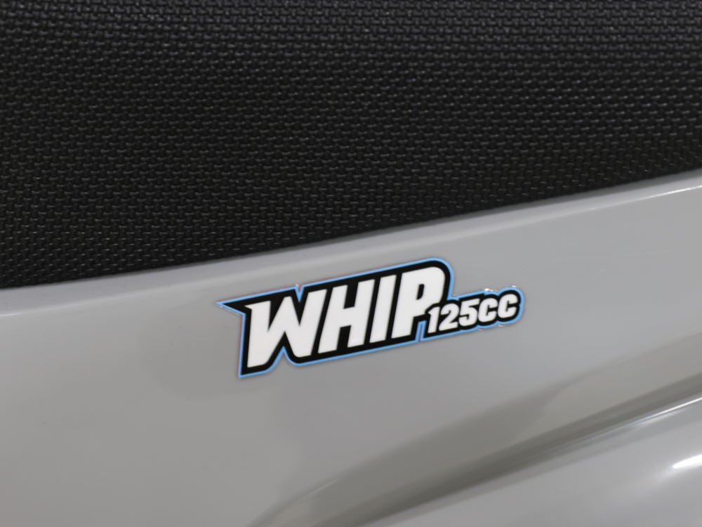 IceBear IBX Whip 125cc Pit Bike (PAD125-3) - Decal close-up