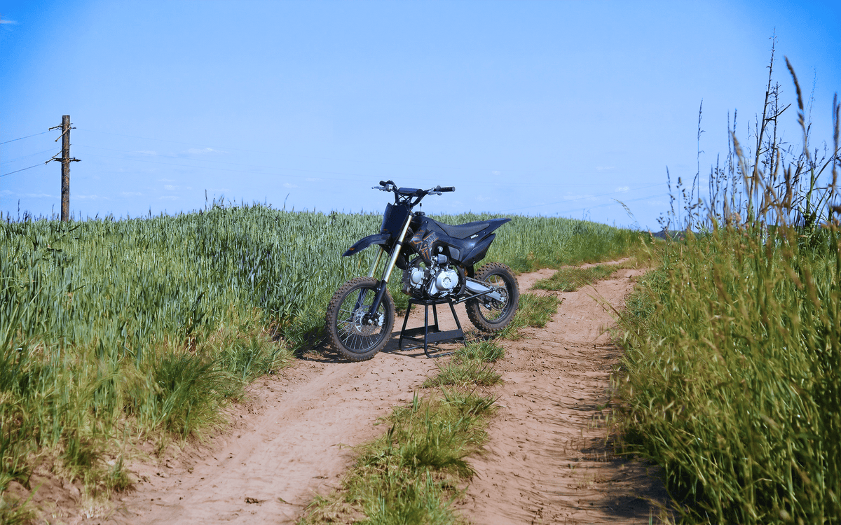 IceBear IBX Whip 125cc Pit Bike (PAD125-3) - whip_125_hero.png