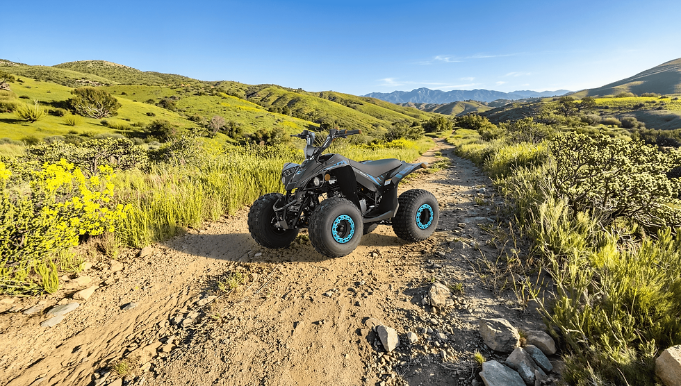 IceBear GRZ125 125cc ATV